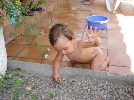 zewin